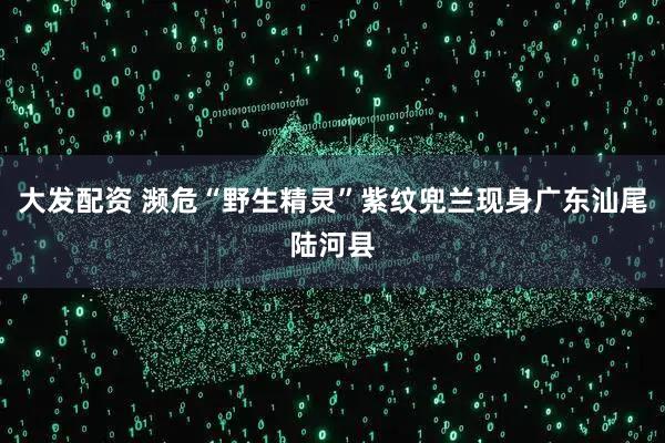 大发配资 濒危“野生精灵”紫纹兜兰现身广东汕尾陆河县